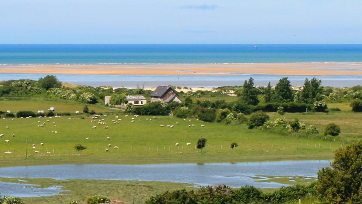 Le Marais Montmartin-sur-Mer Exterior photo
